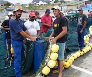 Die Boet van visnette